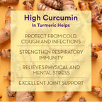 Siddhayu Ayurveda Turmeric Yogue Latte Mix | Grocsy