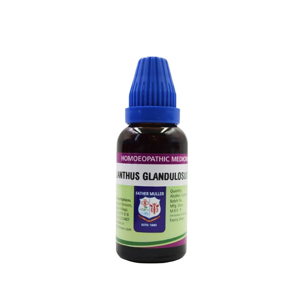 Father Muller Ailanthus Glandulosus Mother Tincture Q | Grocsy