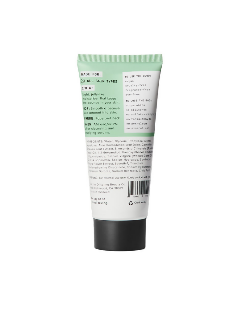 Versed Dew Point Moisturizing Gel Cream | Grocsy