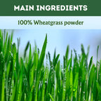 Herbal Hills Wheat-O-Power Wheatgrass Powder | Grocsy