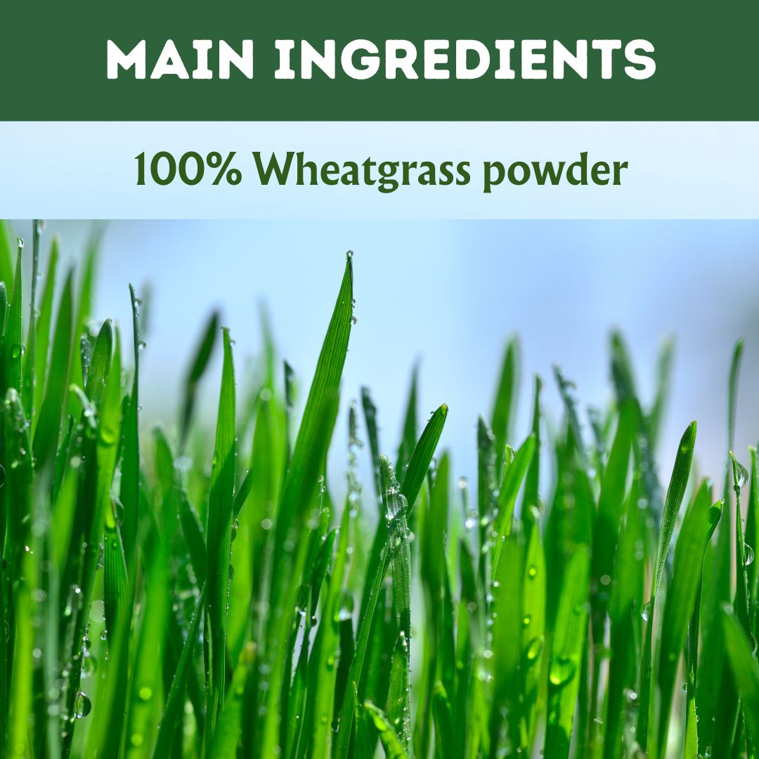 Herbal Hills Wheat-O-Power Wheatgrass Powder | Grocsy