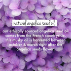 Love Beauty And Planet Rice Water & Angelica Seed Oil Curl & Waves Conditioner | Grocsy