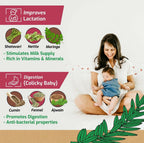Shuddh Natural MAA Adaptogenic Women Wellness Tea | Grocsy