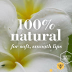 Burt's Bees Natural Moisturizing Lip Balms (Wild Cherry & Vanilla Bean) | Grocsy
