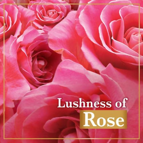 Lux Soft Touch Silk Essence & Rose Water Soap Bar | Grocsy