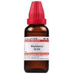 Dr. Willmar Schwabe India Phytolacca Dilution | Grocsy