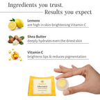 Shankara by Sri Sri Tattva Gheesutra Lemon Lip Butter | Grocsy