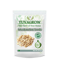 Yuvagrow Muskmelon Seeds | Grocsy