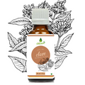 Oilcure Clove Oil | Grocsy