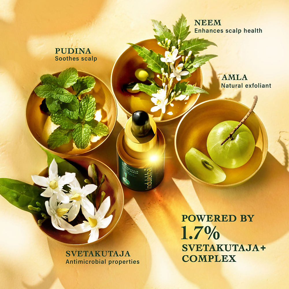 Indulekha Svetakutuja Dandruff Treatment Scalp Serum | Grocsy