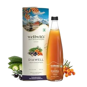 Wellwith DiaboWin (Diawell) Karela & Jamun Juice with Seabuckthorn | Grocsy