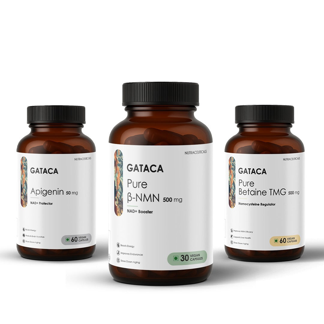 GATACA The Scale Stack (Pure β-NMN 500 mg, Apigenin 50 mg, Pure Betaine TMG 500 mg) | Grocsy