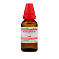 Dr. Willmar Schwabe India Baryta Carbonica (Barium carbonicum) Dilution | Grocsy