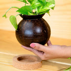 Thenga Handmade Coconut Shell Planter Pot with Cork Tray | Grocsy