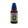Father Muller Cyclamen Europaeum Mother Tincture Q | Grocsy