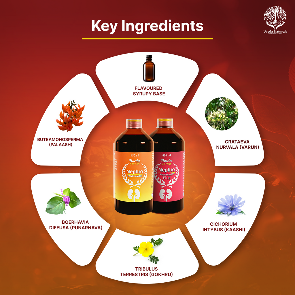 Uveda Naturals Nephro Panchamrit and Nephro Panchamrit Plus Combination