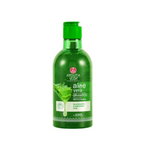 Ayouthveda Aloe Vera Shampoo | Grocsy