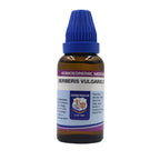 Father Muller Berberis Vulgaris Dilution | Grocsy
