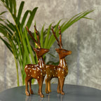 Sowpeace Dearest Little Deer | Grocsy