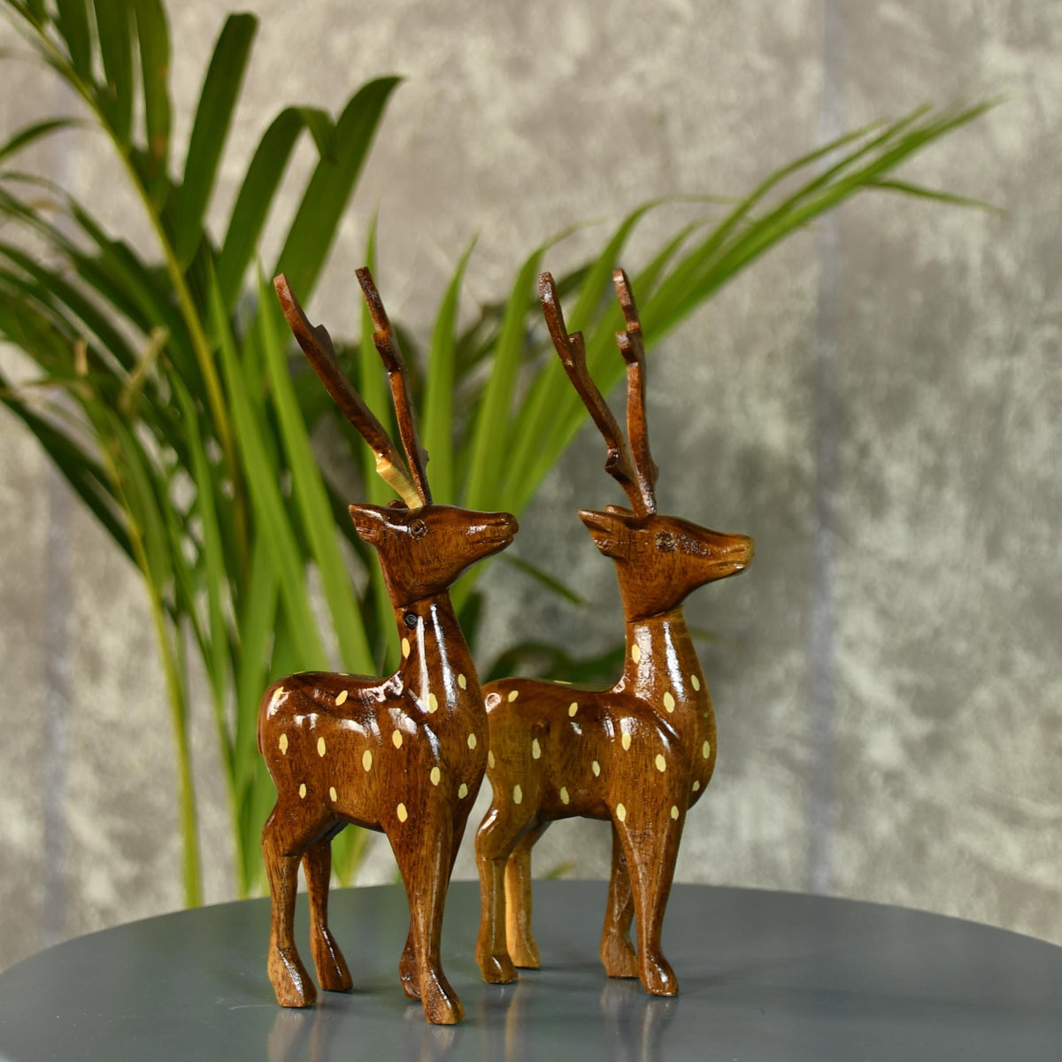 Sowpeace Dearest Little Deer | Grocsy