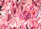 Wow Skin Science Rose Otto Essential Oil | Grocsy