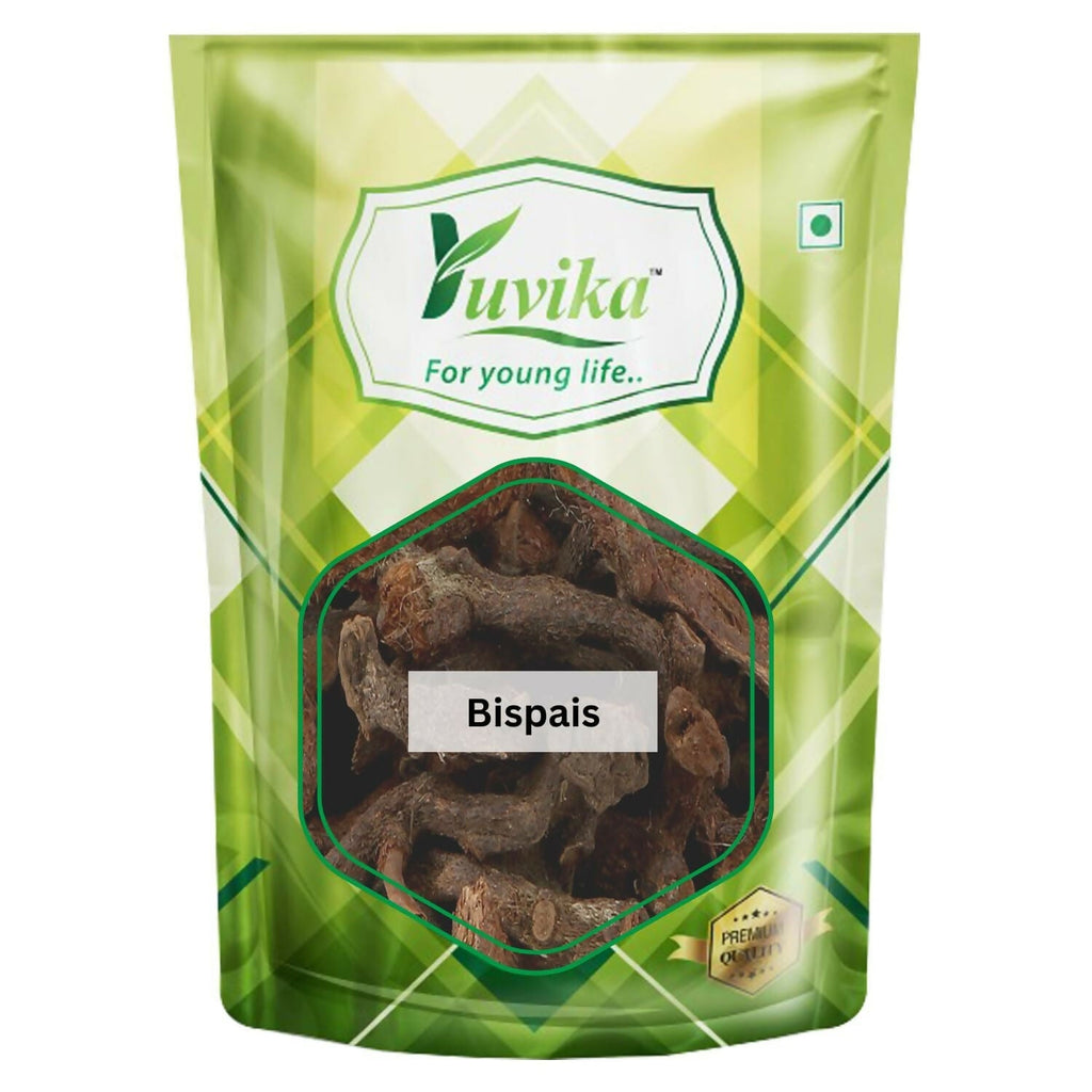 Yuvika Bispais - Bisfais - Polypodium Vulgare - Wall Fern | Grocsy