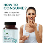 Saptamveda Irish Sea Moss 500mg Capsules | Grocsy