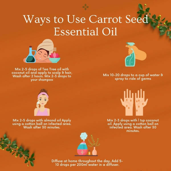 Organicos Carrot Seed Essential Oil | Grocsy