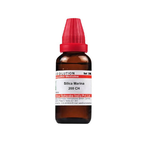 Dr. Willmar Schwabe India Silica Marina Dilution | Grocsy