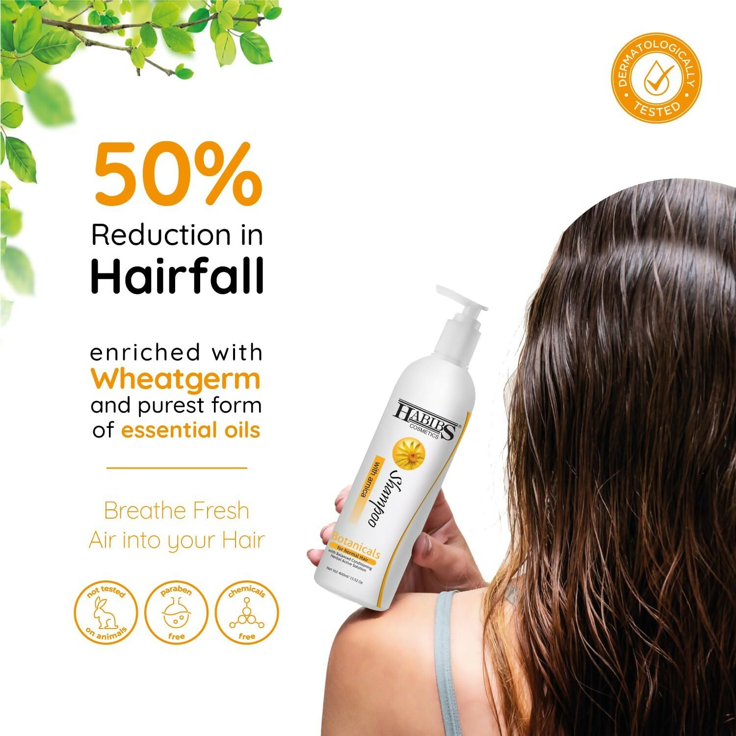 Habibs Professional Hair Shampoo with Arnica To Improve your Scalp Health for Daily Use | Grocsy