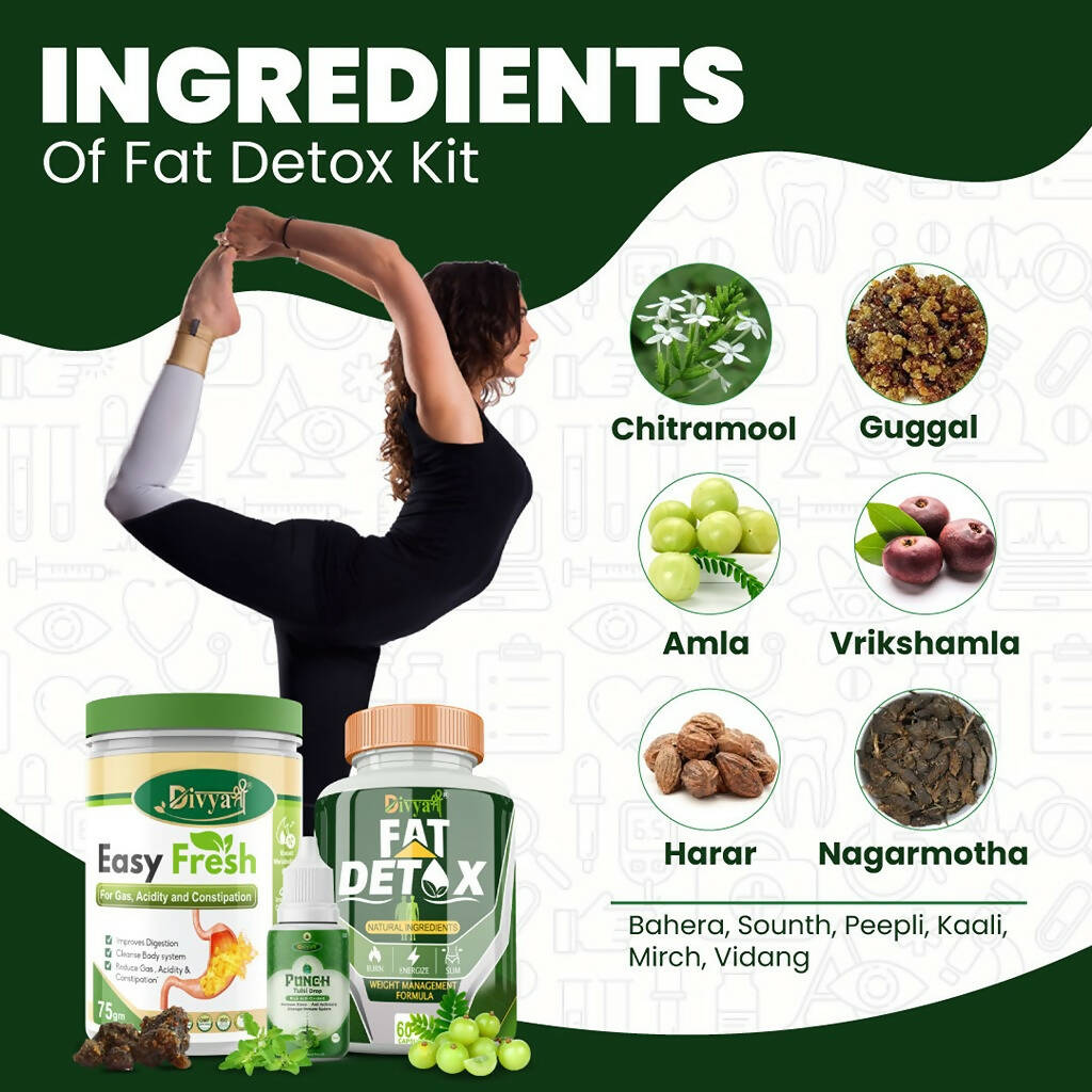 Divya Shree Fat Detox Capsule + Easy Fresh Powder & Punch Tulsi Drop Gas Combo Kit | Grocsy