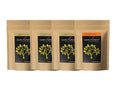 Dark Forest Hair Care Ultimate Range Combo | Grocsy