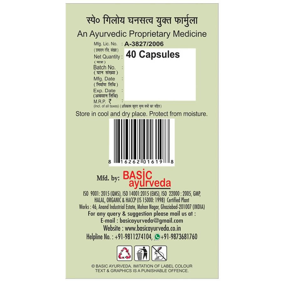 Basic Ayurveda Giloy Power Capsules | Grocsy