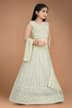 Wedding Designer Light Pista Heavy Fox Georgette Kidswear Lehenga - Aaradhna | Grocsy