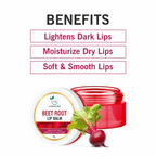 TQS Beet Root Lip Balm | Grocsy
