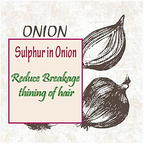Urbaano Herbal Onion Oil + Shampoo & Conditioner Hair Care Set | Grocsy