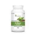 Four Seasons Giloy Powder | Grocsy