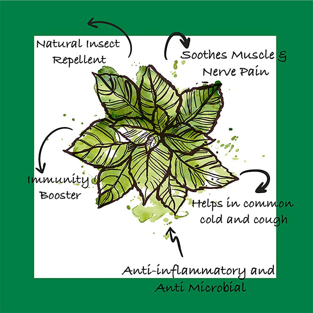 Sarva by Anadi Basil Essential Oil | Grocsy