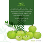 Herb Essential Amla Fruit Powder | Grocsy