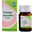 Dr. Willmar Schwabe India Crataegus Oxyacantha 1X MT Tablets | Grocsy