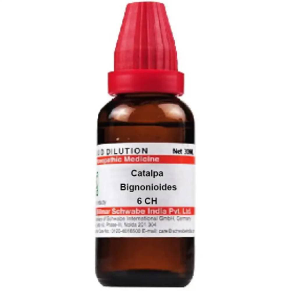 Dr. Willmar Schwabe India Catalpa Bignonioides Dilution | Grocsy