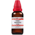 Dr. Willmar Schwabe India Catalpa Bignonioides Dilution | Grocsy