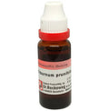 Dr. Reckeweg Viburnum Prunifolium Mother Tincture Q | Grocsy