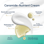 Dove Advanced Sensitive Care Bar With Ceramide And Nutrient Cream | Grocsy