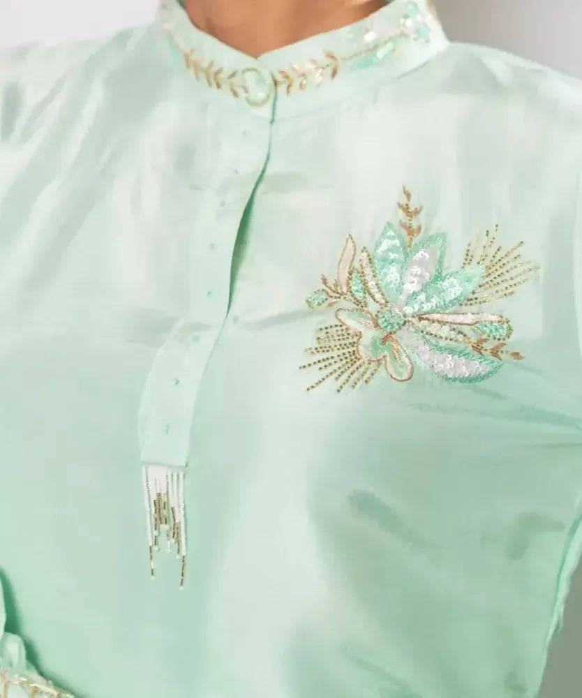 Timaraa Mint Whisper – Aari Zardosi Silk Co-Ord Set | Grocsy