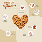 Upaveda Almonds | Grocsy