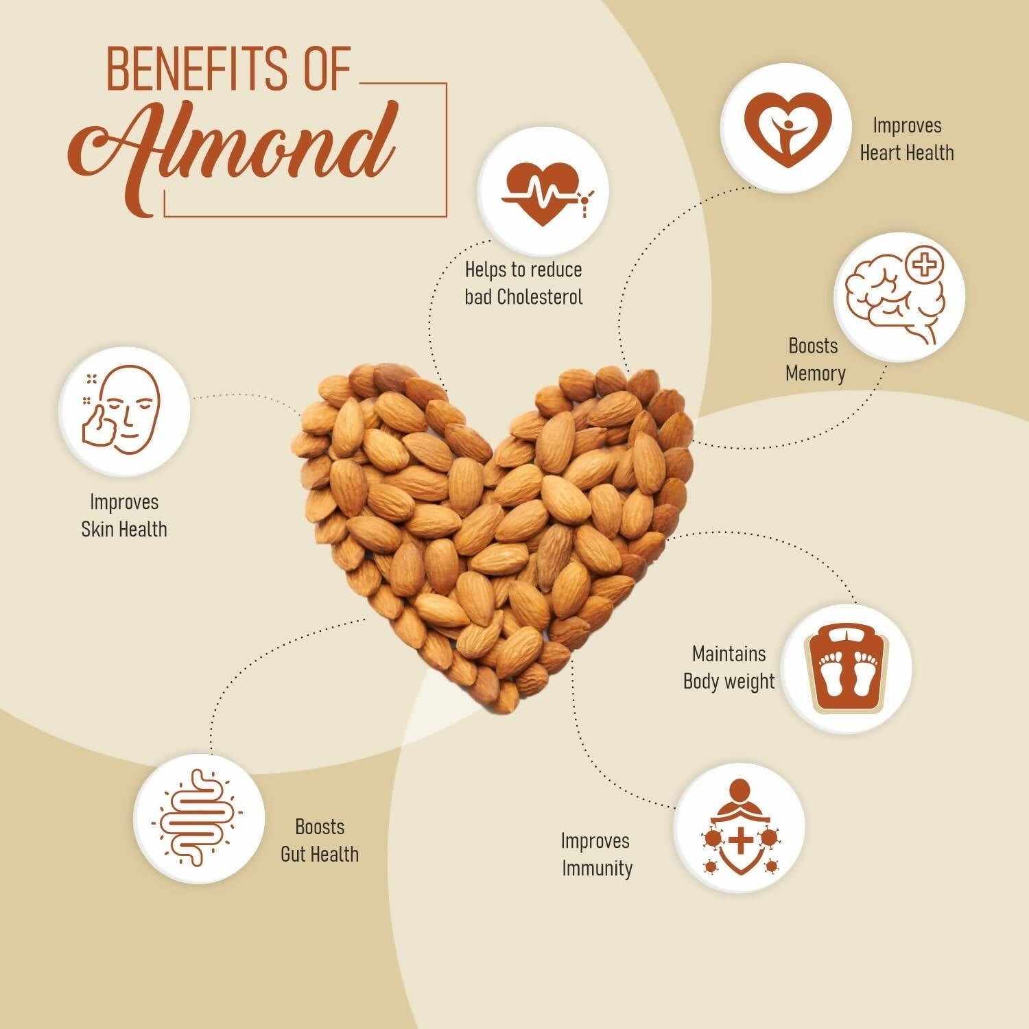 Upaveda Almonds | Grocsy