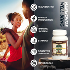 Rajasthan Herbals SJ Capsules | Grocsy