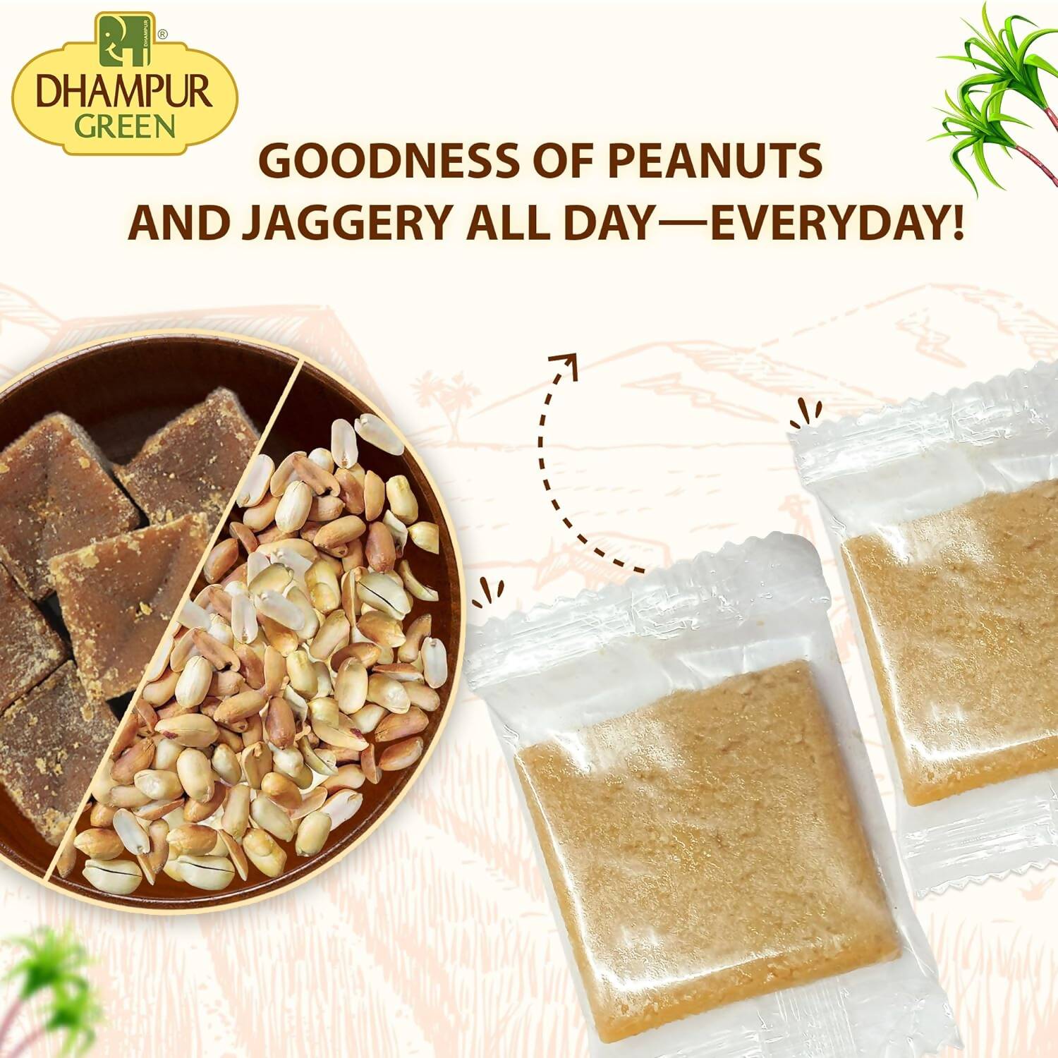 Dhampur Green Peanut Energy Bar | Grocsy