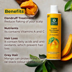 Organic Harvest Organic Nourishment Shampoo With Mango Butter | Grocsy